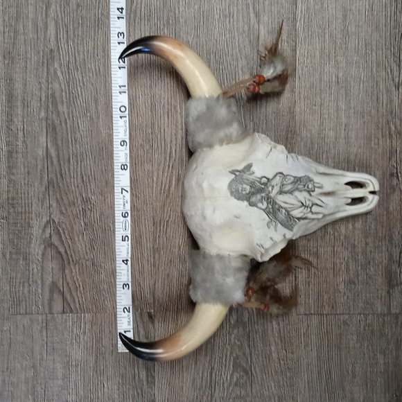 Southwest Skull Wall Decor - Picture 4 of 6